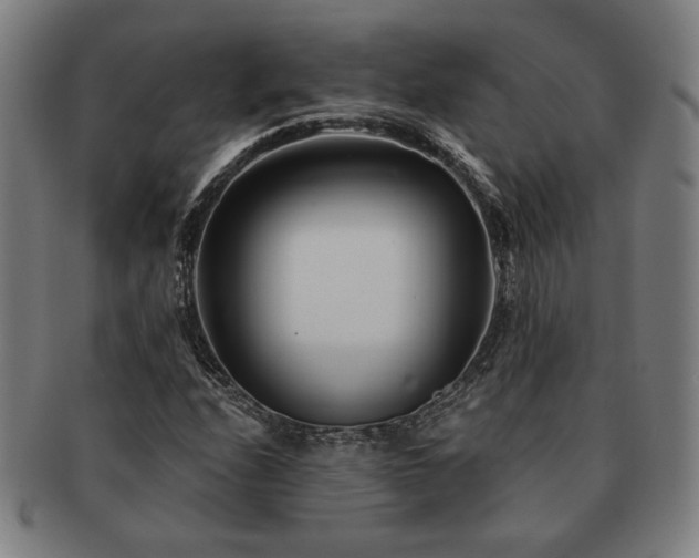 X0000091471208200708231331