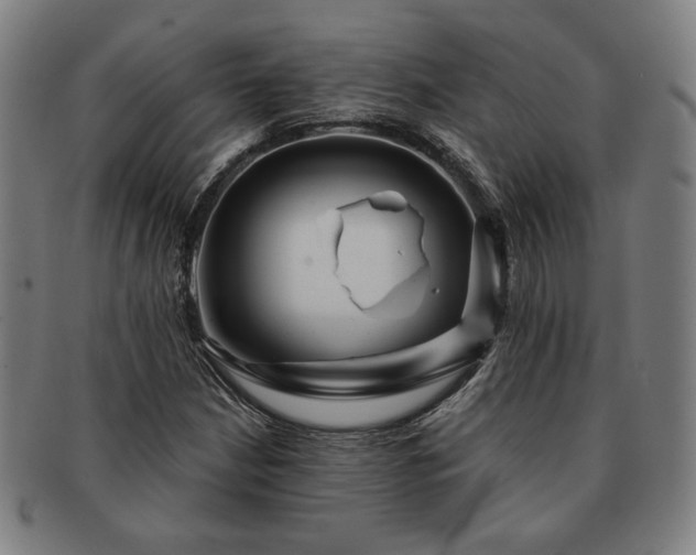 X0000091471210200708231331