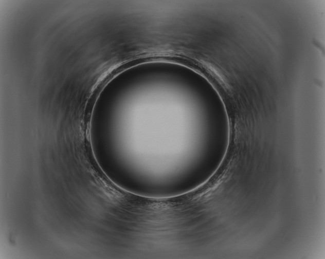 X0000091471212200708231331