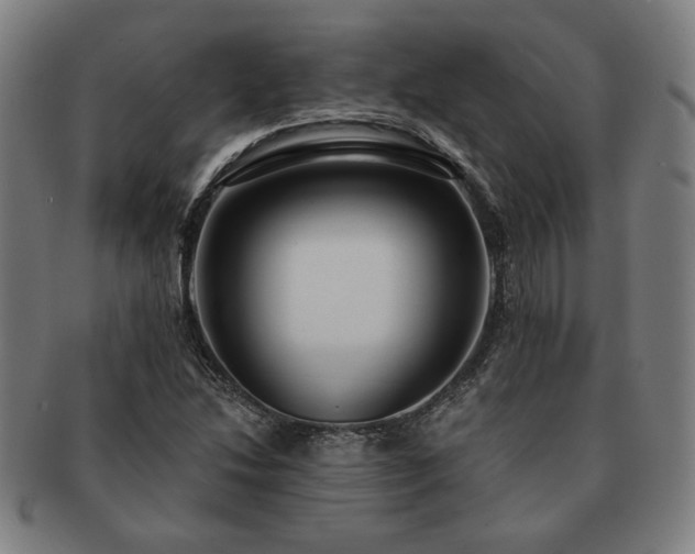 X0000091471214200708231331