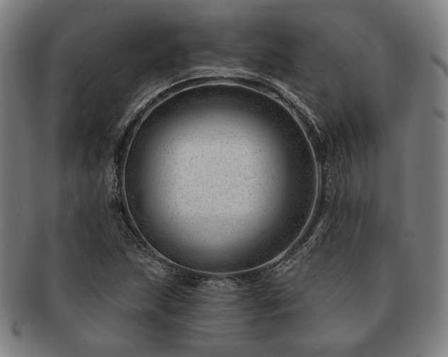 X0000091471215200708231331