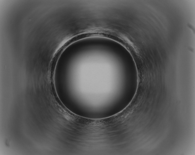 X0000091471216200708231331