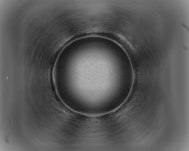 X0000091471217200708231331