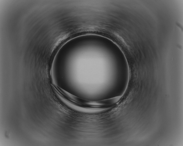 X0000091471218200708231331