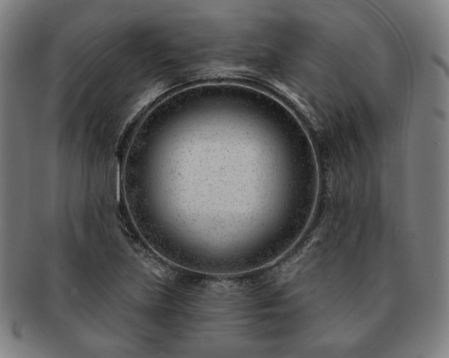 X0000091471219200708231331