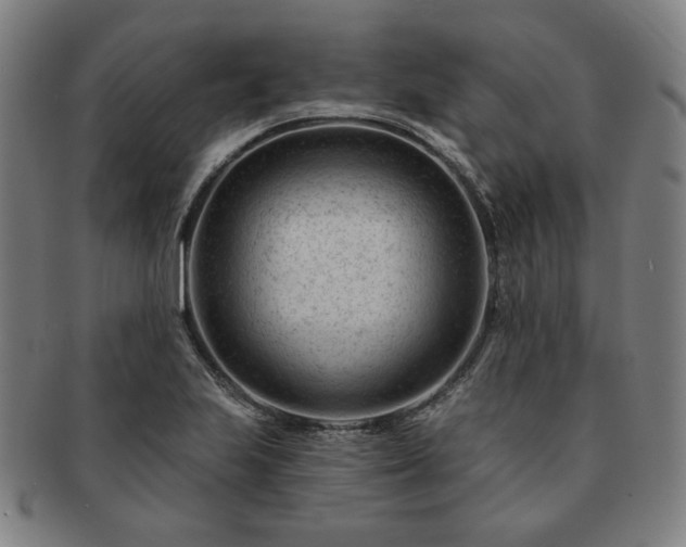 X0000091471223200708231331