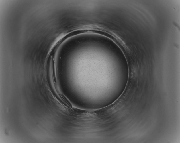 X0000091471224200708231331