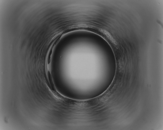 X0000091471225200708231331