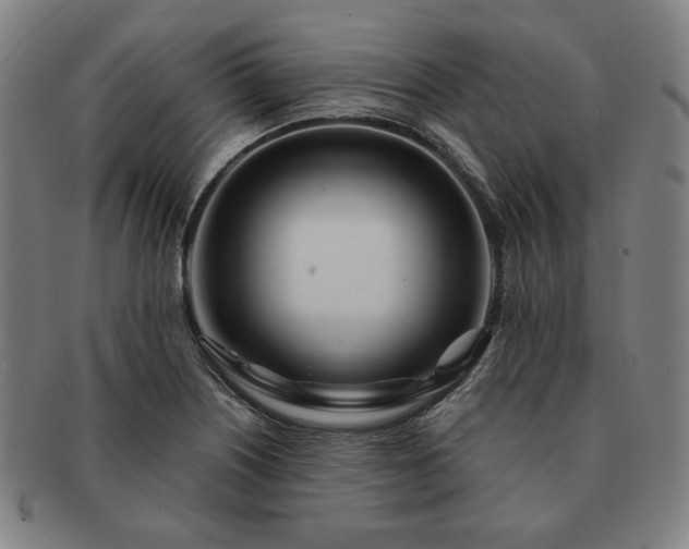 X0000091471226200708231331