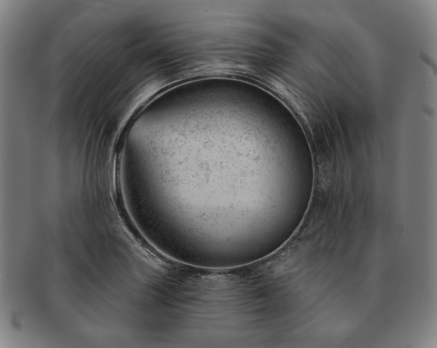 X0000091471227200708231331