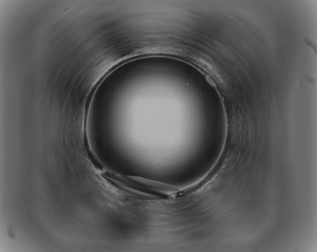 X0000091471228200708231331