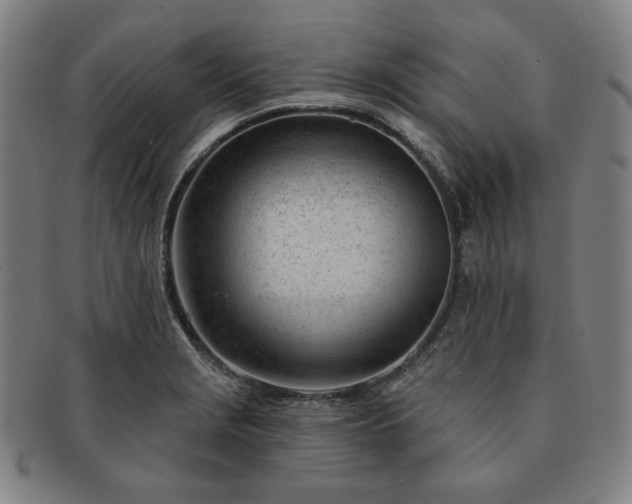 X0000091471229200708231331