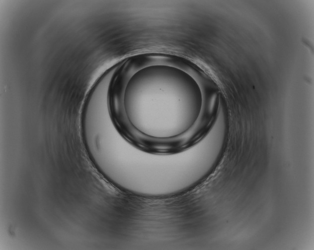 X0000091471230200708231331