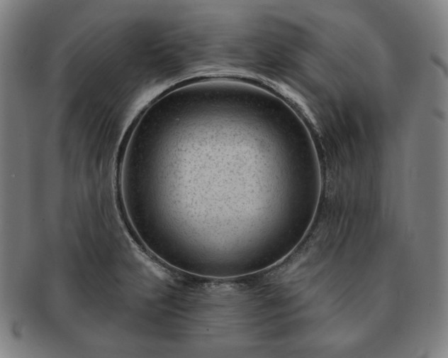 X0000091471231200708231331