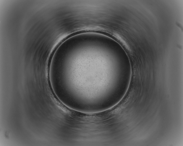 X0000091471232200708231331