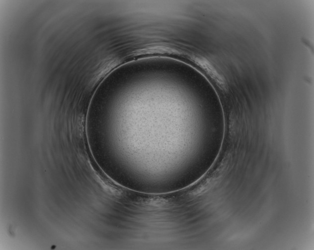 X0000091471233200708231331