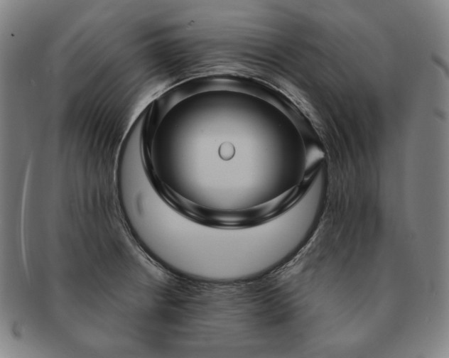 X0000091471234200708231331