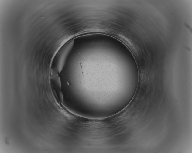 X0000091471236200708231331