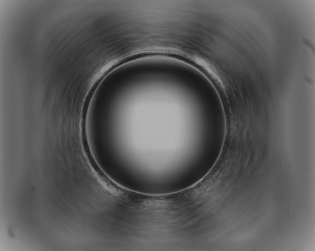 X0000091471237200708231331