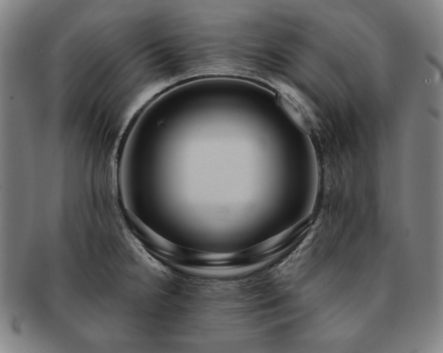 X0000091471238200708231331