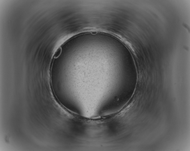 X0000091471239200708231331