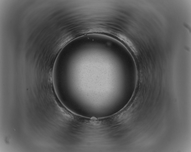 X0000091471241200708231331