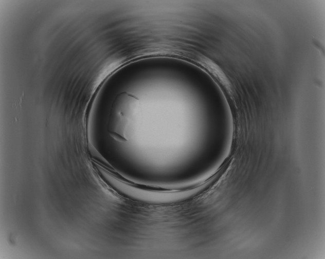 X0000091471242200708231331