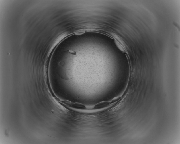 X0000091471243200708231331