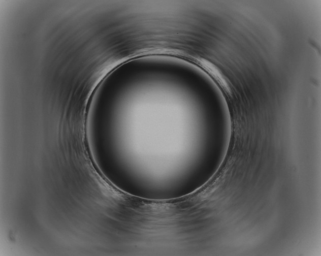 X0000091471244200708231331