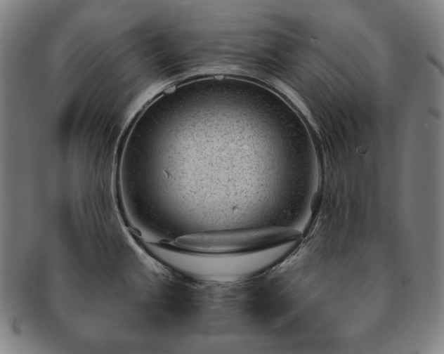 X0000091471245200708231331