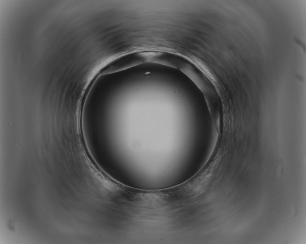 X0000091471246200708231331