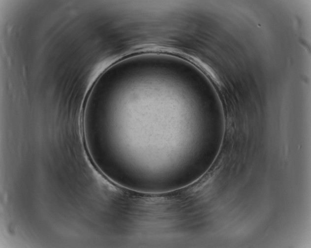 X0000091471247200708231331