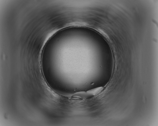 X0000091471248200708231331