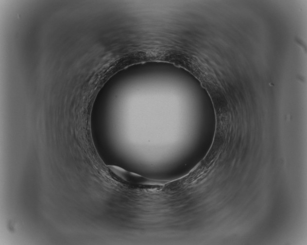 X0000091471249200708231331