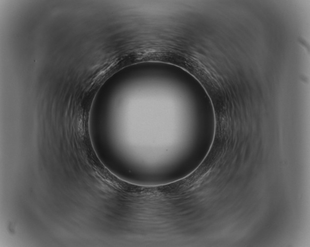 X0000091471250200708231331