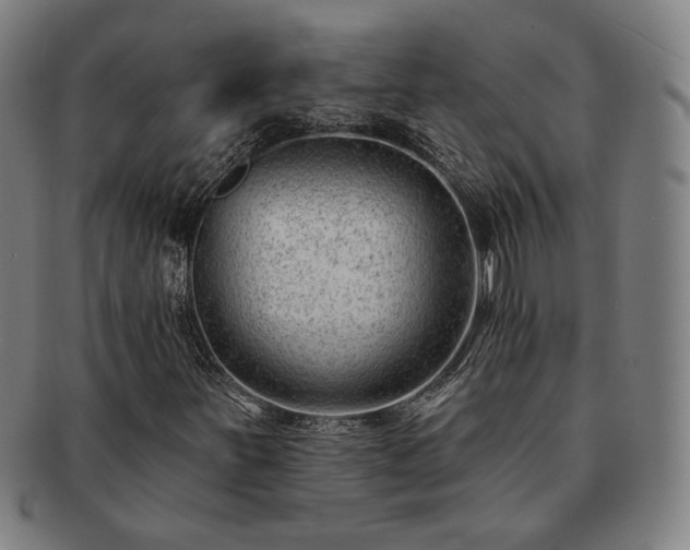 X0000091471251200708231331