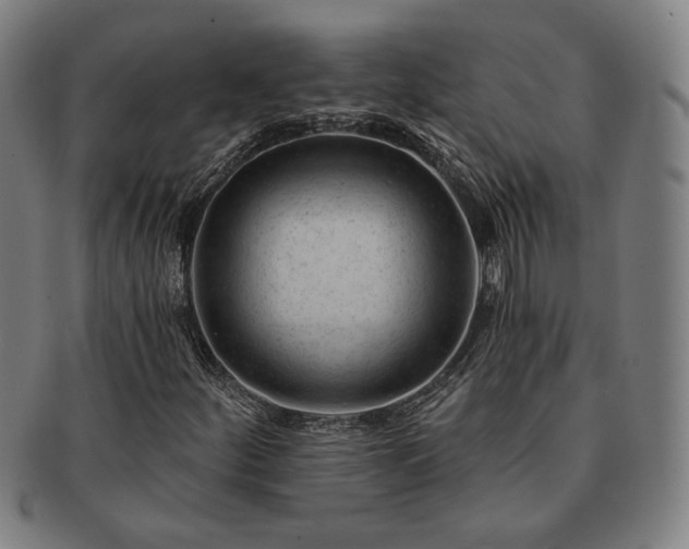 X0000091471252200708231331