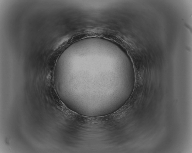 X0000091471254200708231331