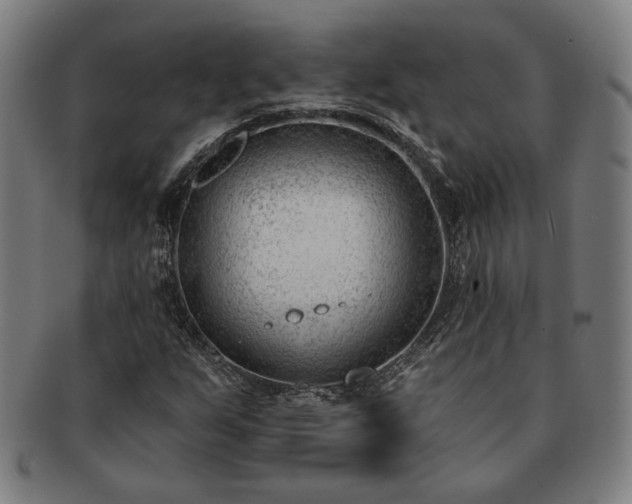 X0000091471255200708231331