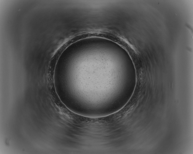 X0000091471256200708231331