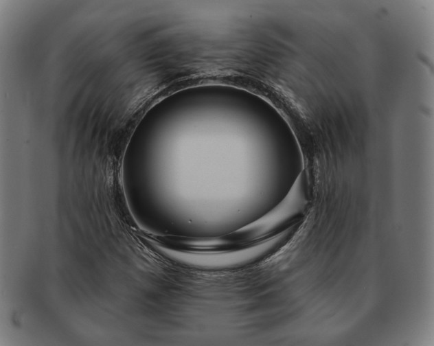 X0000091471257200708231331