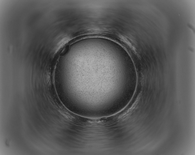 X0000091471259200708231331