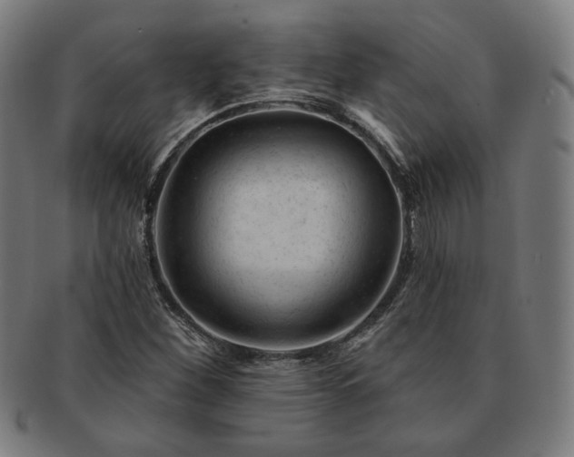 X0000091471260200708231330