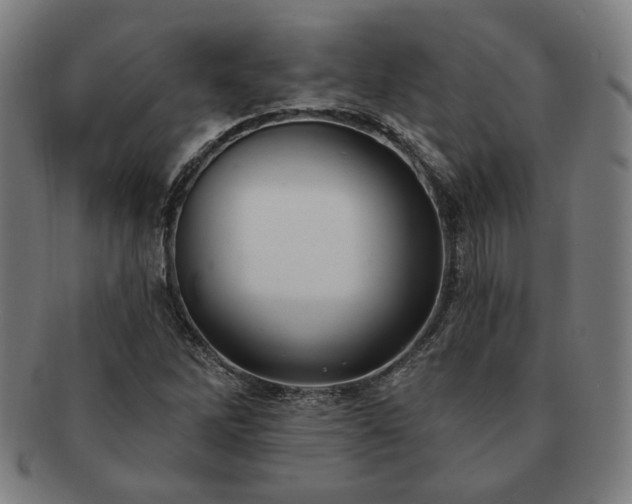 X0000091471262200708231330