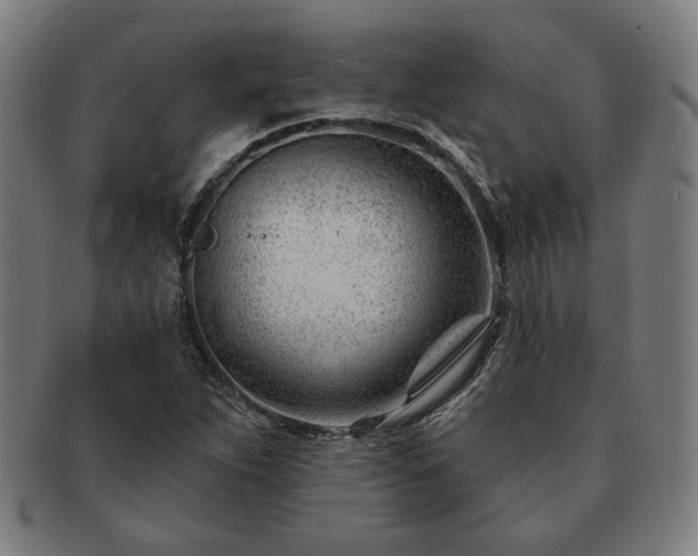 X0000091471263200708231330