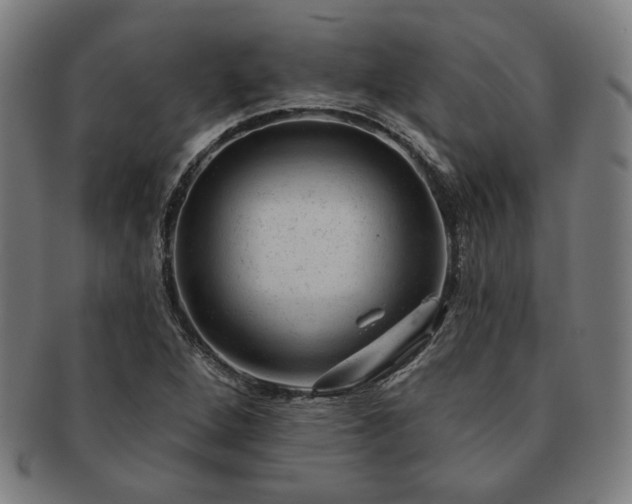 X0000091471264200708231330