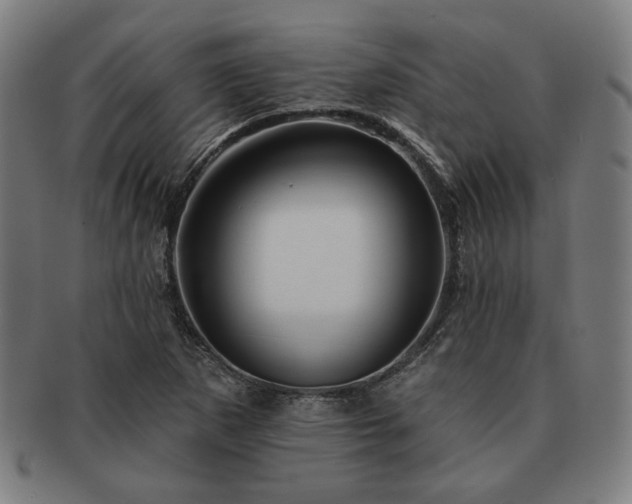 X0000091471265200708231330