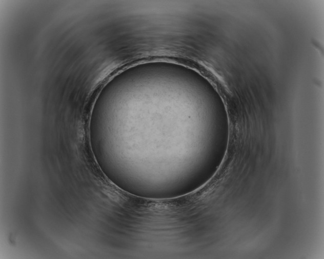 X0000091471266200708231330