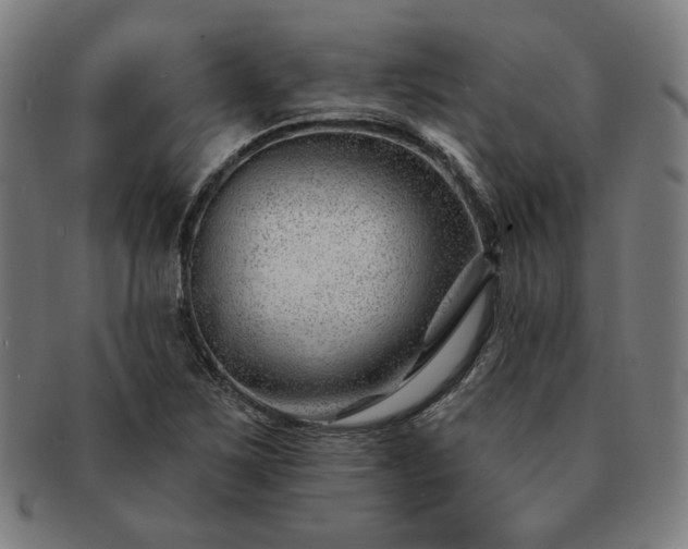 X0000091471267200708231330