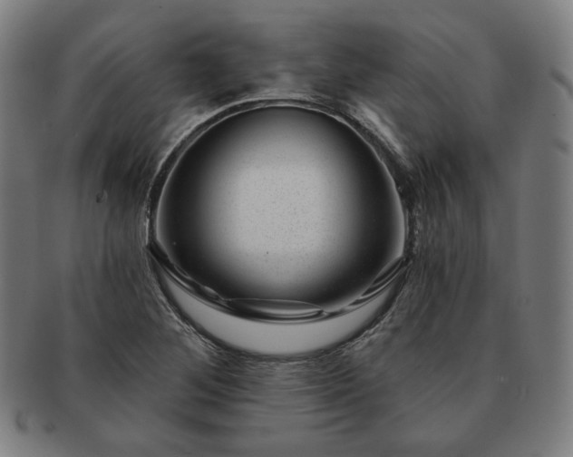 X0000091471268200708231330